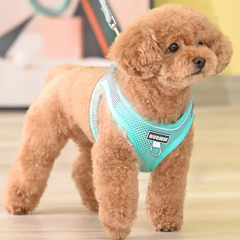 Pet Supplies Dog Collar Breed Small Harness Sling Home. Pets Bag Dogs Strap Goods for Chest Articles Accessories Products Garden