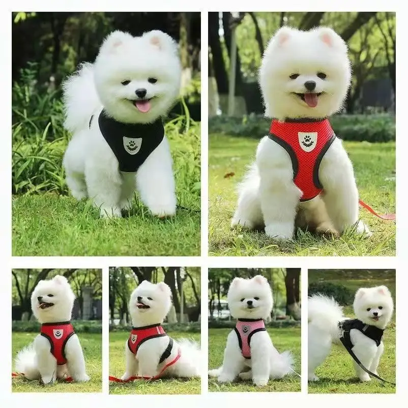 Dog harness with leash Breathable Mesh Dog Harness and Leash Set Puppy Cat Harness Vest For Small Dogs arnes para perro