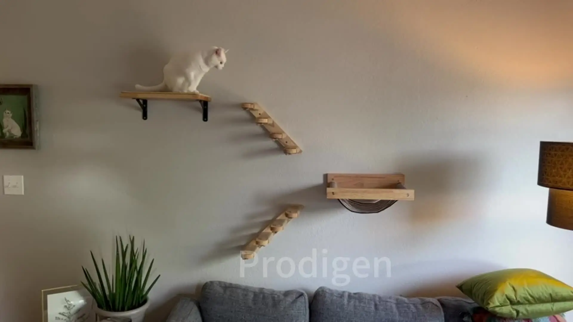 Parete per gatti Nascondere casa Amaca Scaffali da arrampicata Parete per gatti Nascondere casa Amaca Scaffali da arrampicata