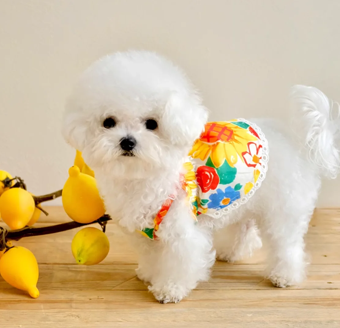 Luxury Dog Dress Bowknot Lace Summer Puppy Clothes Dog Skirts Cotton T Shirt Girls Costume Chihuahua