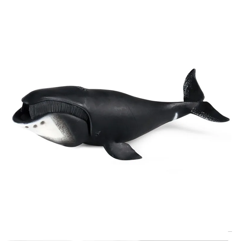 

Simulation Marine Life Model Toy Bowhead Whale Shark Early Childhood Education Cognitive Doll Decoration Hand-made For Kids