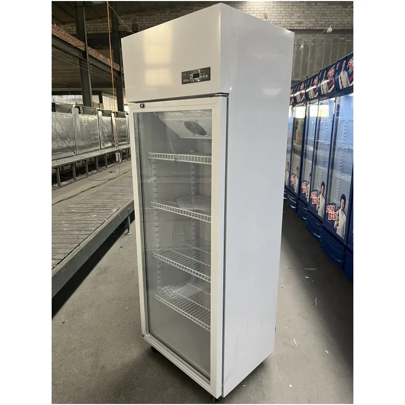 260L Medicine Cooler Cabinet Temperature Adjustable 260 L Hospital Medicine Storage Fridge With Light Box