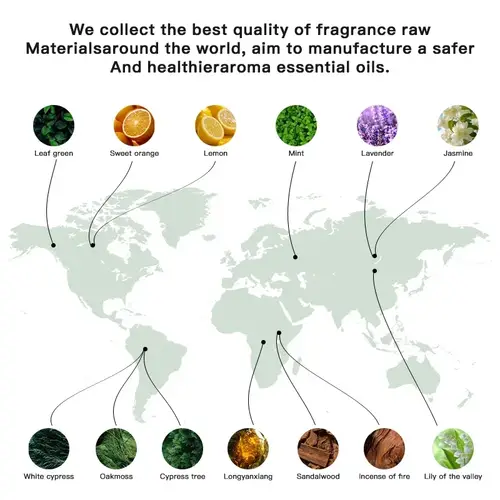 NAMSTE 100ML Oil Diffuser Essential Oil Electric Diffuser Room Aroma Diffusers Fragrance Oil Air Purifier for Home Freshener Hot - Image 5