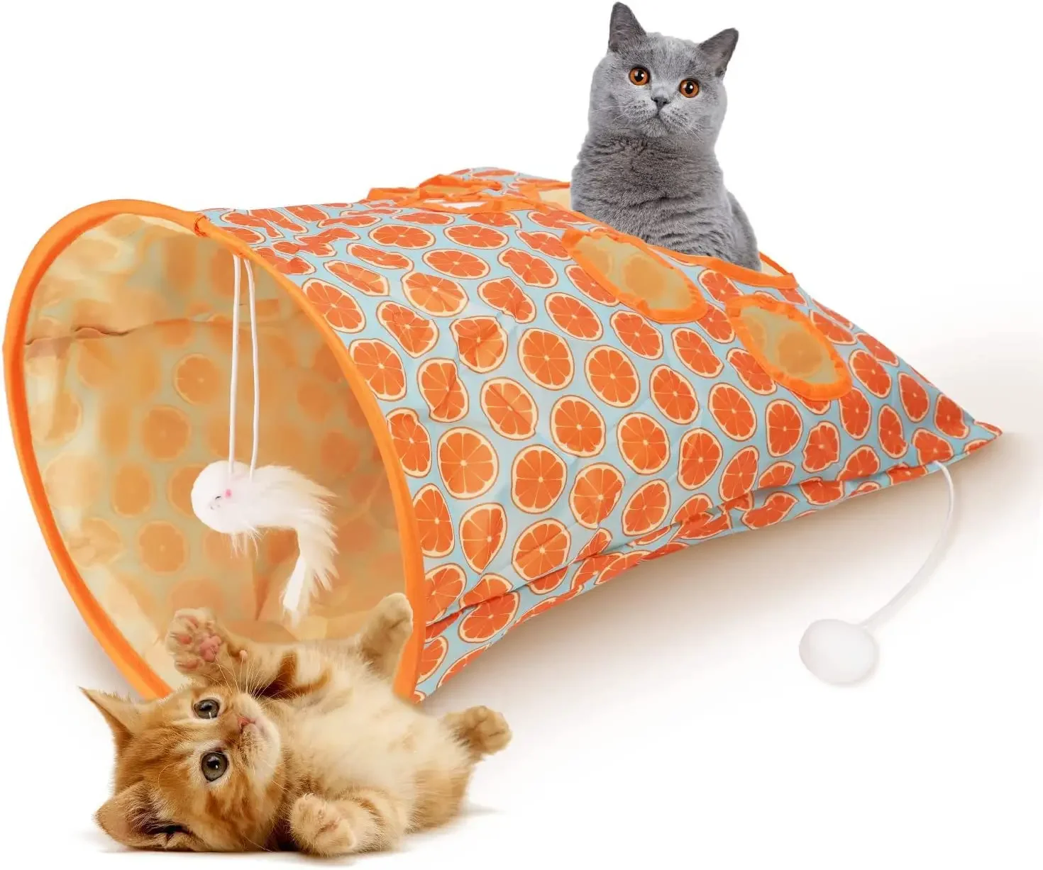 malha para gatos - Divertido Jogo em Forma S para Interação Gatos Internos  com Brinquedos Provocantes,Suprimentos para animais estimação tubos  bigotorcidos : : Pet Shop
