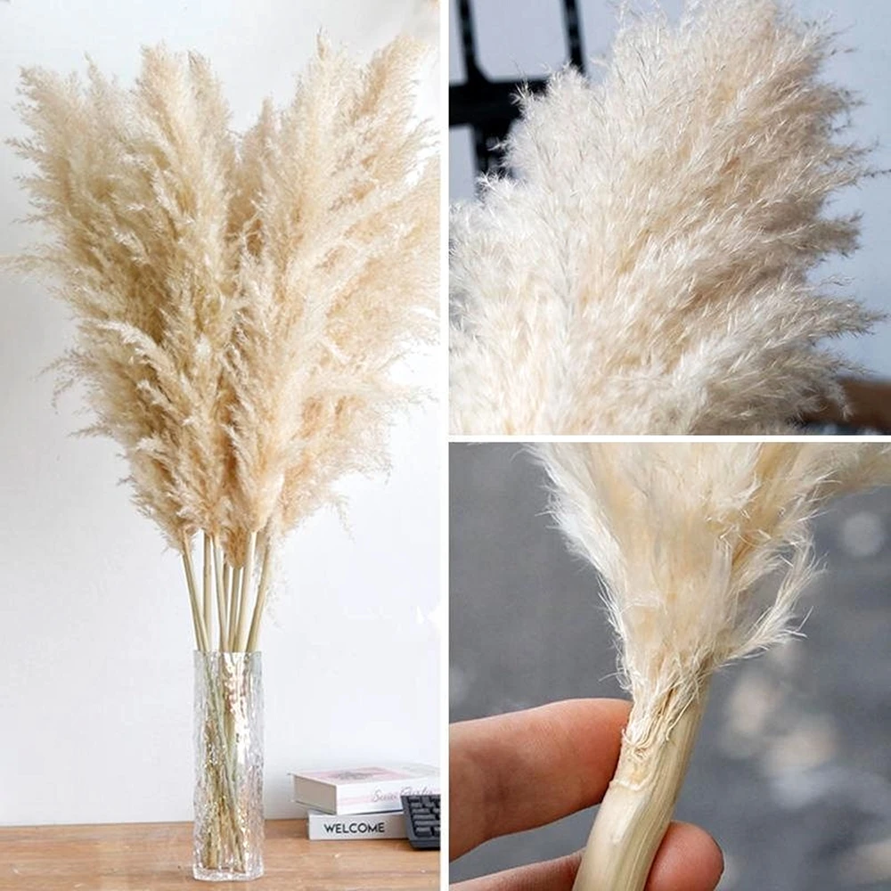 Dried Flower Bouquets 80-120cm Tall Pampas Grass Fluffy Large Natural Dried Flowers Bouquet Boho Home Decor Gift Country Wedding Flowers Decorations