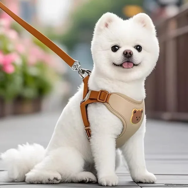Dog Harness Leash Set Small Medium Dog Cat Vest Puppy Chest Strap French Bulldog Chihuahua Harness Breathable Vest Pet Supplies 3