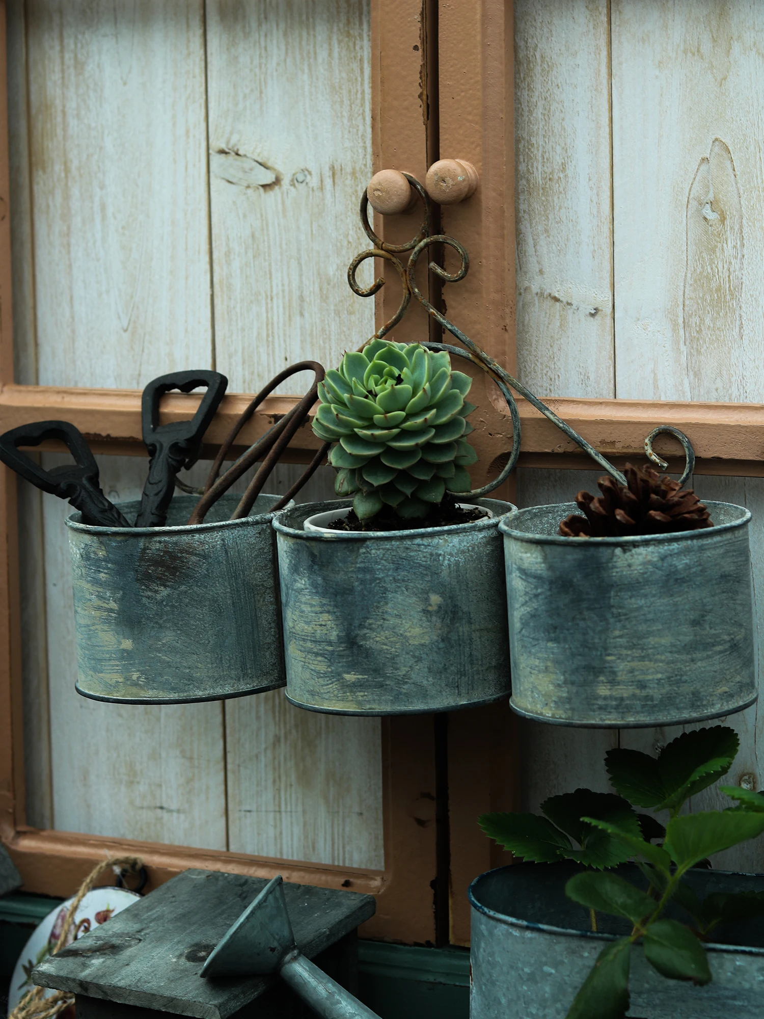 

Wall Vintage Zinc Succulent Cactus Triple Flowerpots and Planter