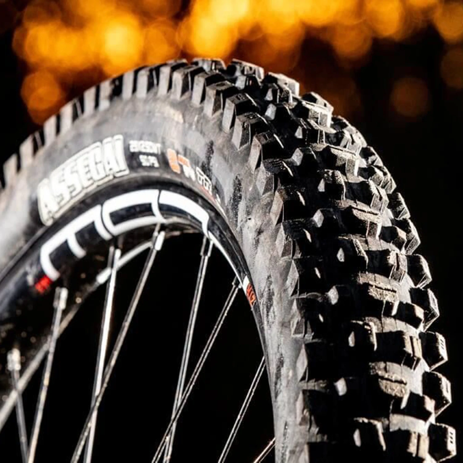 Best Maxxis Mountain Bike Tires | visitchile.cl
