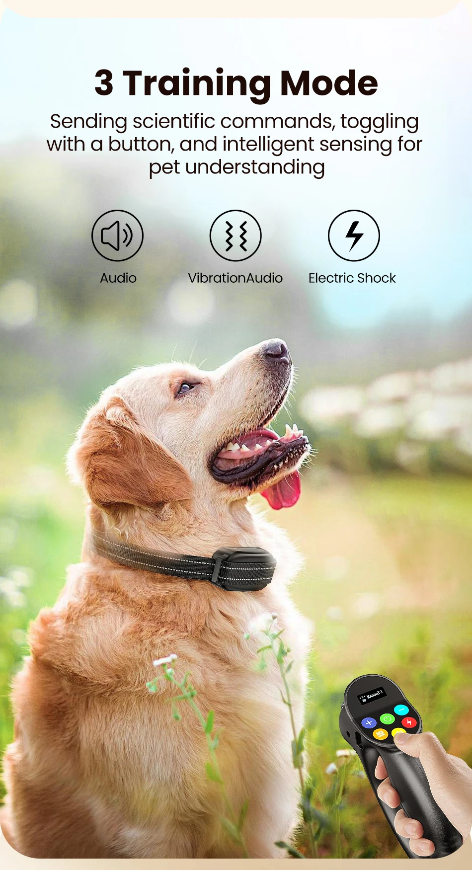 Sb5ec230070284ce39ee0caffed02e9a7X Collier de Dressage Rojeco 500m + Laisse – Télécommande Étanche & Nouvelles Fonctionnalités !