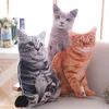 30/50cm 3D Home Decorative Simulation cat Bedding Napping Cat Shape Cushion Home Textile Pillow Throw pillow 3