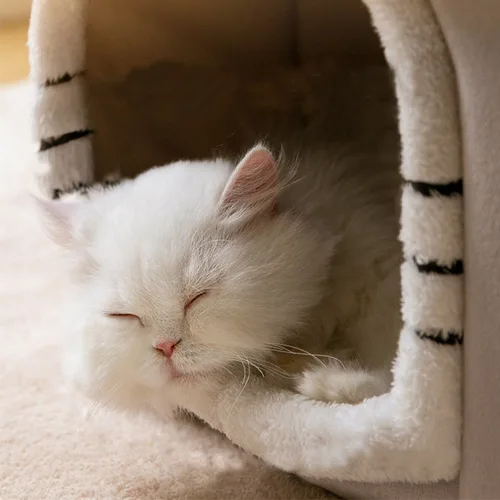 접이식 따뜻한 고양이 집, 치와와 동굴 침대, 고양이 바구니, 소형견 따뜻한 부드러운 고양이 침대 매트, 강아지 집, 깊은 수면, 겨울 5