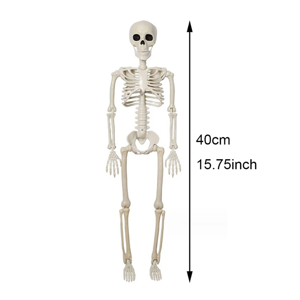 40CM Skeleton