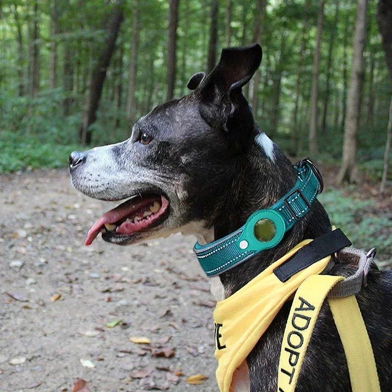 Airtag Dog Collar, réglable en cuir de vachette naturelle Support