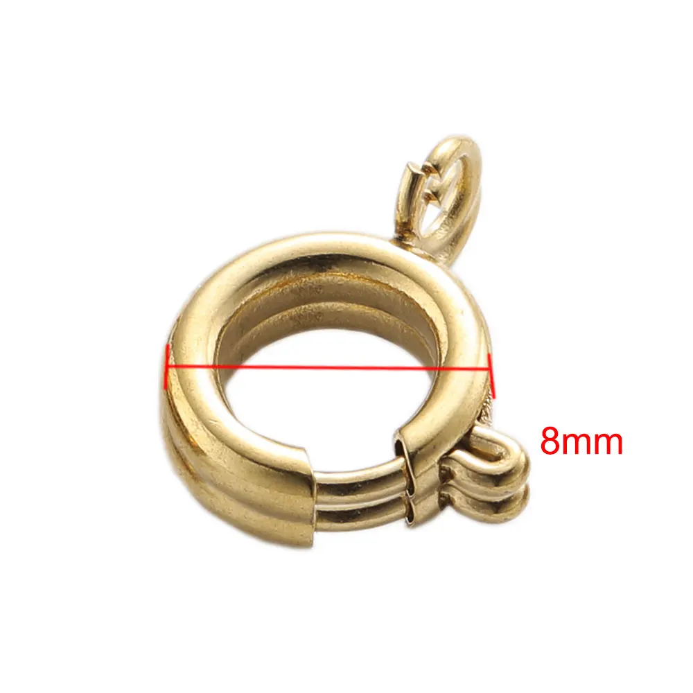 10 Stück Edelstahl 5/6/8/10/12 mm runde Klaue Federverschlüsse Haken für Schmuck DIY Armband Halskette Anschlüsse Zubehör – Detail 7