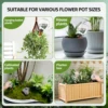 2/4Pcs 500ml Automatic Plant Watering Bulbs Drip Irrigation Stakes Insert Flowers Self Watering Globes Style Indoor Flower 4