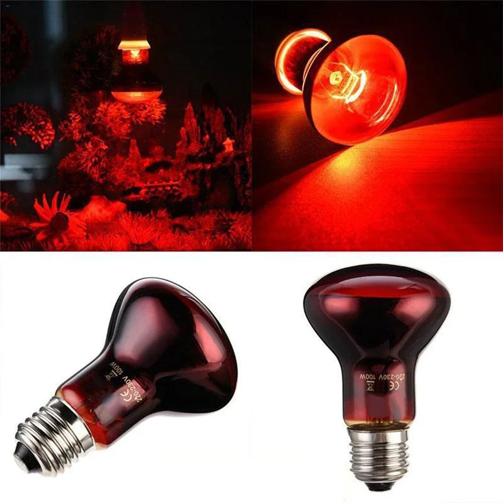 

220V UVA Amphibious Red Heating Lamp 25W 50W 100W Infrared Glass Bulb Accessories for Reptiles Snake Lizards