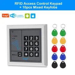 Smart WiFi Keypad Access Controller with Keyless Entry and Password Lock (With Mixed Keys)