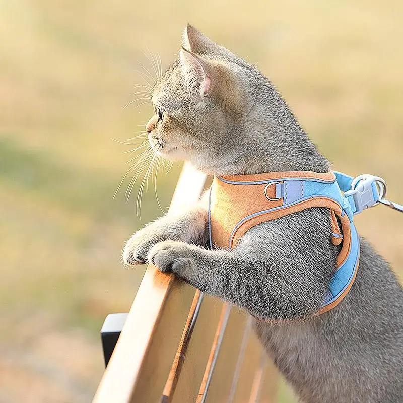 

Cat Traction Rope Reflective Vest Type Chest Strap To Prevent Breaking Away From Going Out Dog Traction RopeTo Walk The Cat