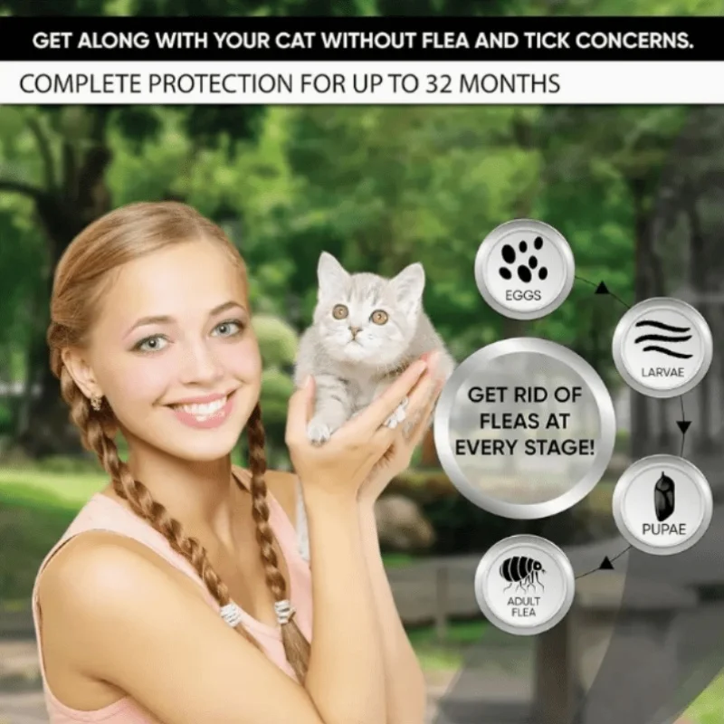 1Pc cat collar, waterproof, decorative, adjustable, suitable for kittens, the best choice for cat owners
