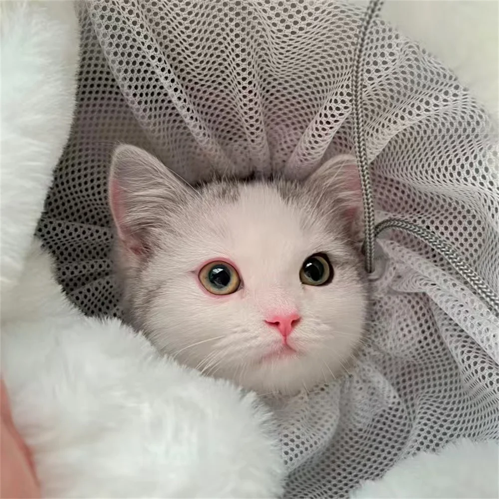 Winter Warm Pet Backpack Carrier for Small Dogs