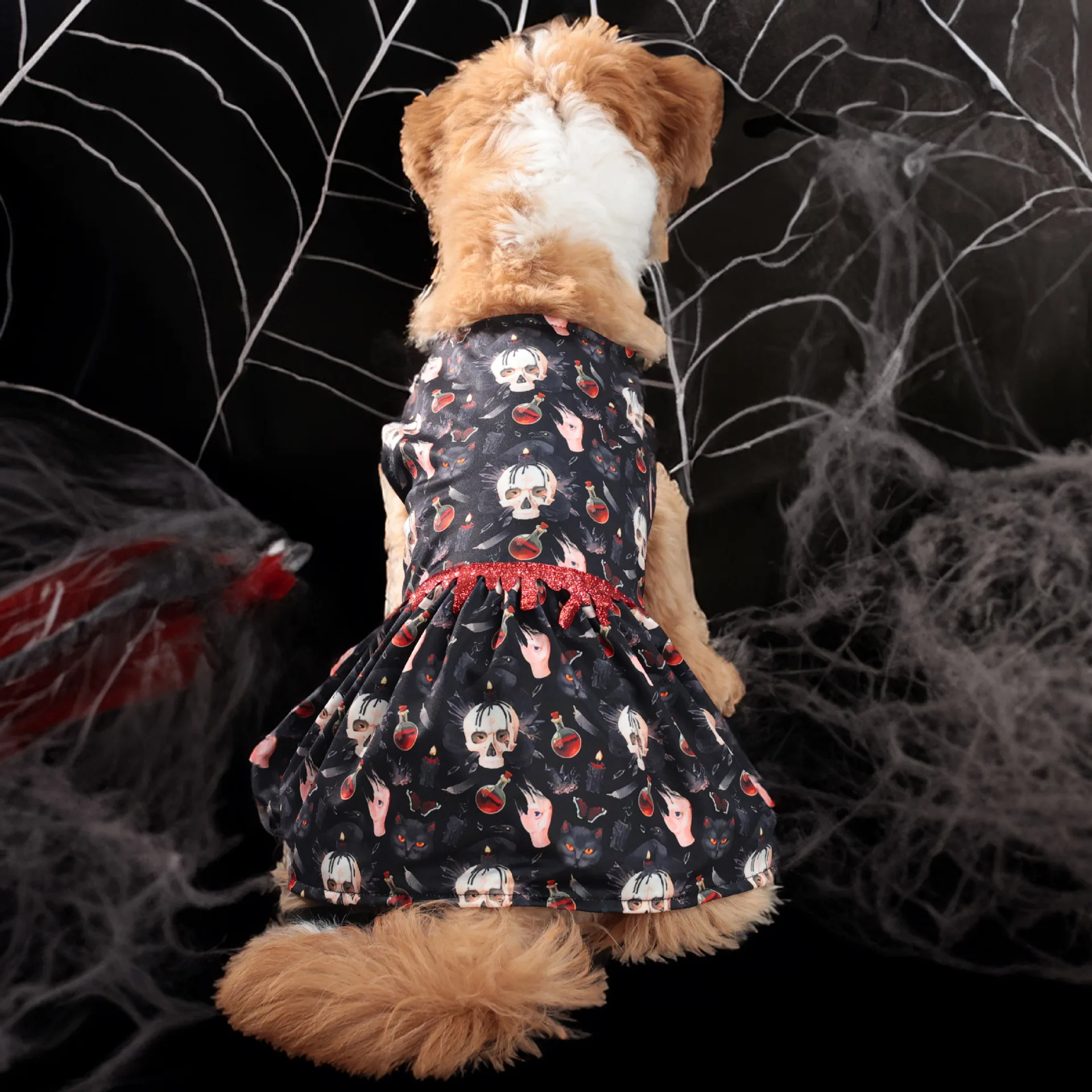 Robe Tête de Mort Amusante Halloween - Tenue Halloween 2024 - 2025 - Vêtement et accessoires pour chiens - Doglovedesign