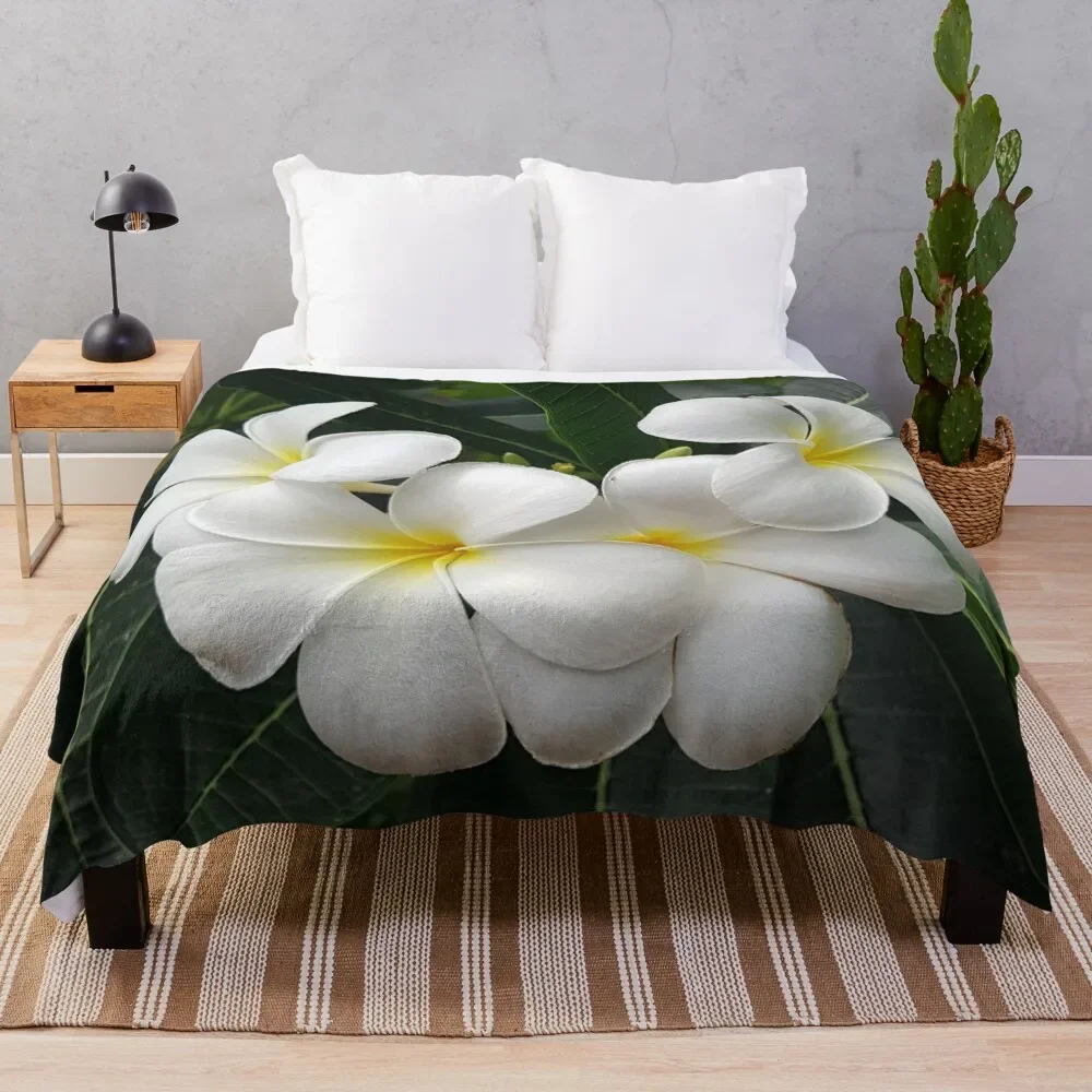 

Frangipanis Throw Blanket Luxury St Hair Blankets