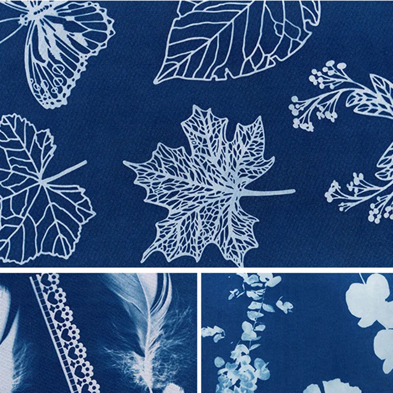 Cyanotype Printing DIY Kit for Reproducing Photographs Documents Maps