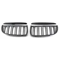Double Line Carbon