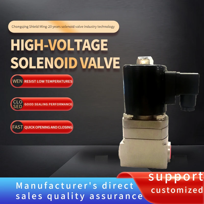 

High pressure solenoid valve 10 16mpa3/8SS304 zero leakage solenoid valve manufacturer direct sales