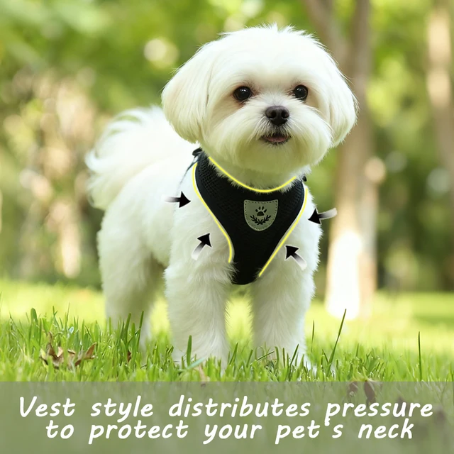 Pet Harness Leash Set Reflective Hiking Puppy Mesh Vest With D-Ring For Small Dogs Cats Breathable Outdoor Walking Accessories 4