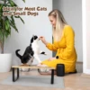 Elevated Cat Food Bowls with 15° Tilt - Raised Pet Feeder Featuring Wooden Stand and Two Stainless Steel Bowls for Cats and Pupp 5