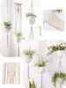 Green Plant Hanging Basket 2