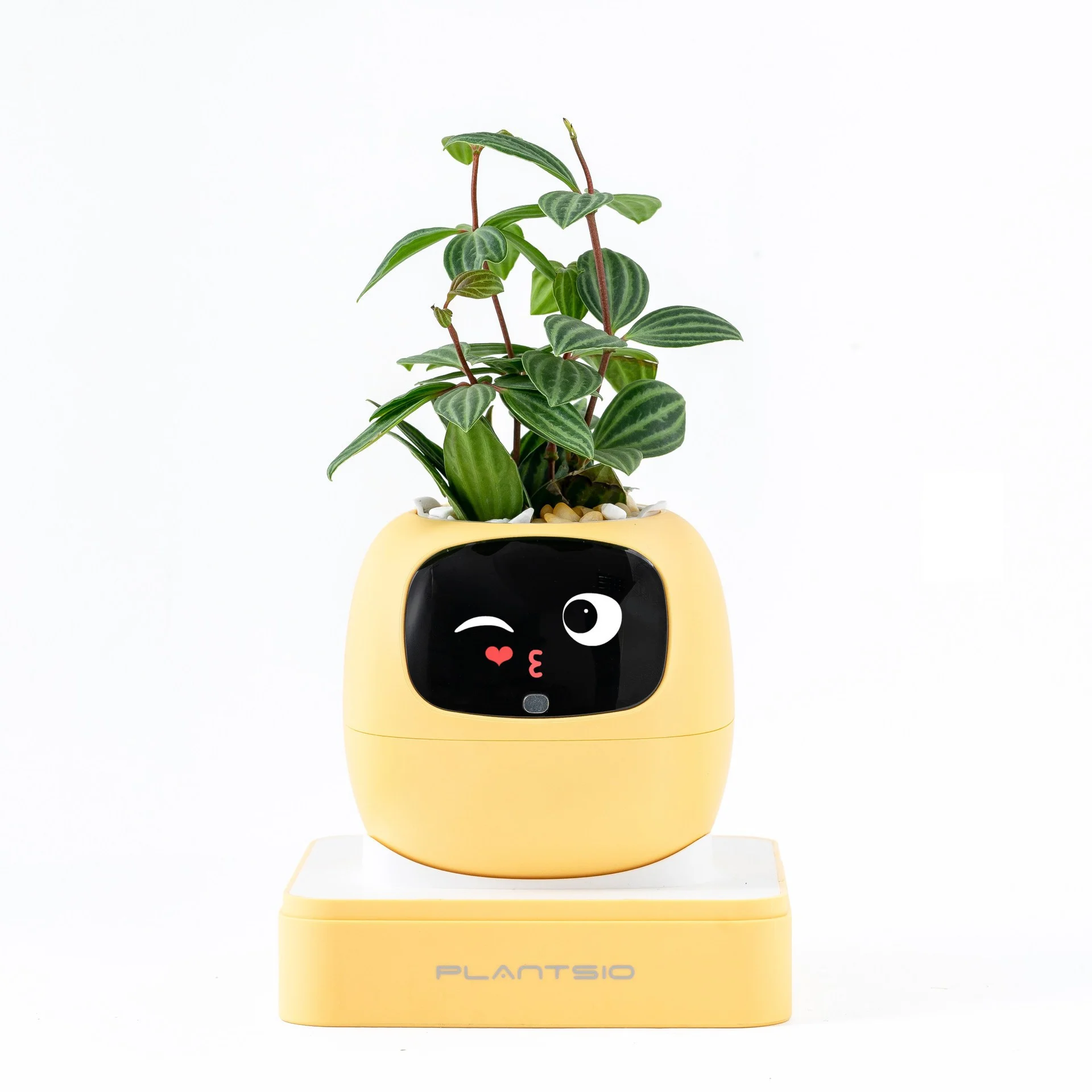 รูปสินค้า กระถางปลูกอัจฉริยะ Smart Garden ปลูกง่าย สนุก ดูแลได้ทุกวัน