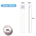 Silvery 20CM
