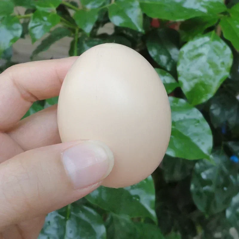 Montessori 1/10Pcs Chicken House Small Fake Eggs Farm Animal Supplies Cages Accessories Guide Chicken Nest Egg Painting 3