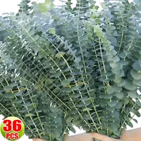10/36PCS Artificial Eucalyptus Stems Green Leaves Eucalyptus Branches Flower Bouquet Wedding Christmas Decoration Fake Plant 1