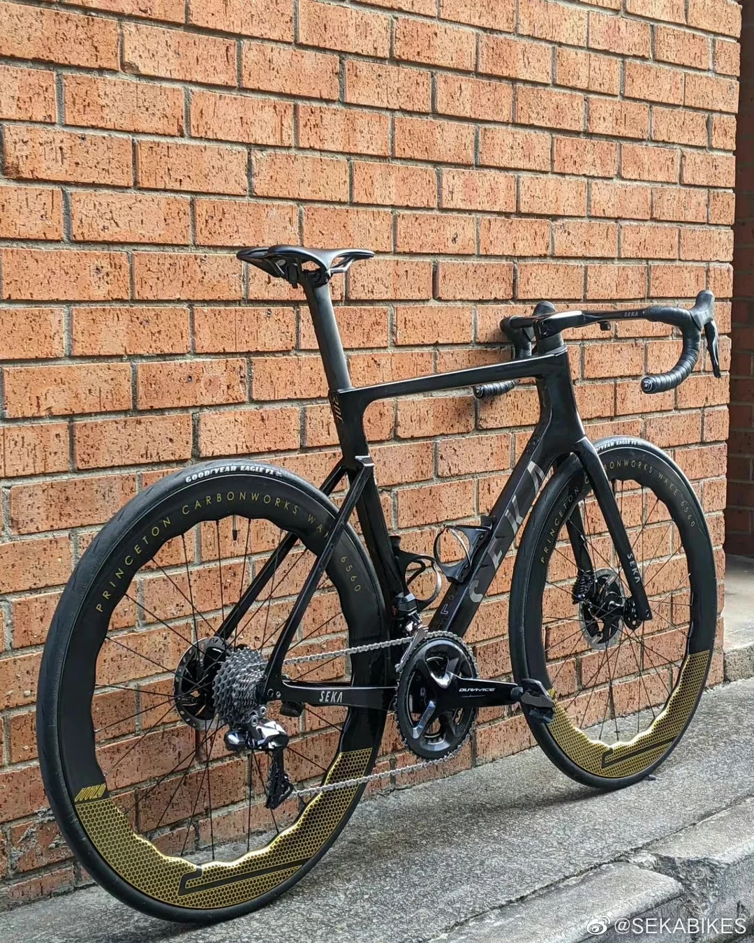 Chinese Famous Brand SEKA Road Bike Frameset Aero Disc dxg