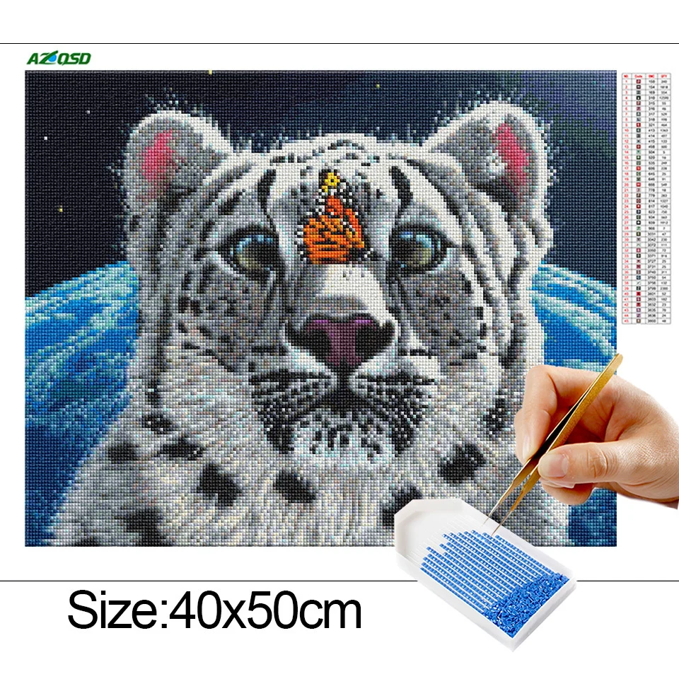 06.jpg_.webp 06.jpg_.webp