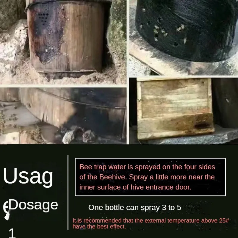 Attracting bee water [1 second queen bee comes] attract bees collect bees collect artifacts wild information beekeeping tools