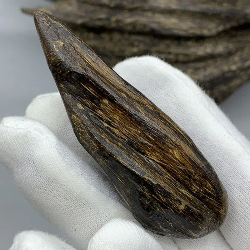 Tarakan insect leakage agarwood with shape pendant old materials oily rich medicine fragrance sweet hand pieces collection 2