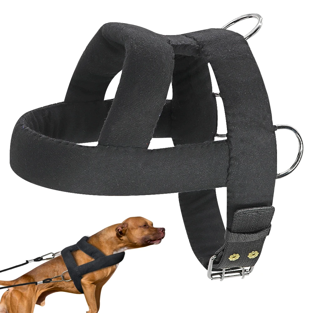 Harness