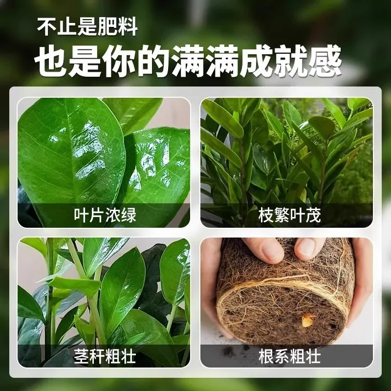 Money Tree Fertilizer Special Fertilizer Nutrient Solution Plant Universal Household Indoor Potted Flower Growing Money Tree