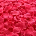 Pink Red