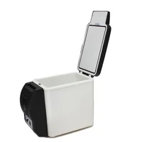 Mini réfrigérateur de voiture portable, réfrigérateur 2 en 1, glacière, chauffage, refroidisseur, plus chaud, 12V, 45W, 6L 2