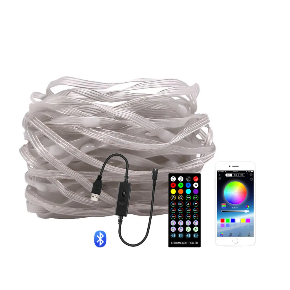 

Светодиодная RGB-гирлянда 5 м 10 м, 5 в постоянного тока, USB WS2812, Управление по Bluetooth, индивидуально Адресуемая симфоническая гирлянда с лампочками