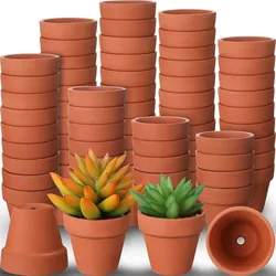 Mini Terracotta Clay Pots with Drainage Hole - Set of 80 - Small