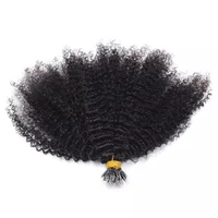 Micro NJosé Head I Tip-Extension de Cheveux Humains pour Femme, Microlinks, Afro, Kinky, Curly, Mongol CharacterRing, 100g = 100 Brins 5
