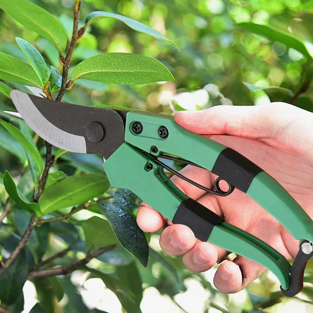 Garden Hand Pruner With Sk5 Steel Blades Pruning Shear Garden Cutting Tools  For Tree Trimmers Orchard Shears - Pruning Tools - AliExpress
