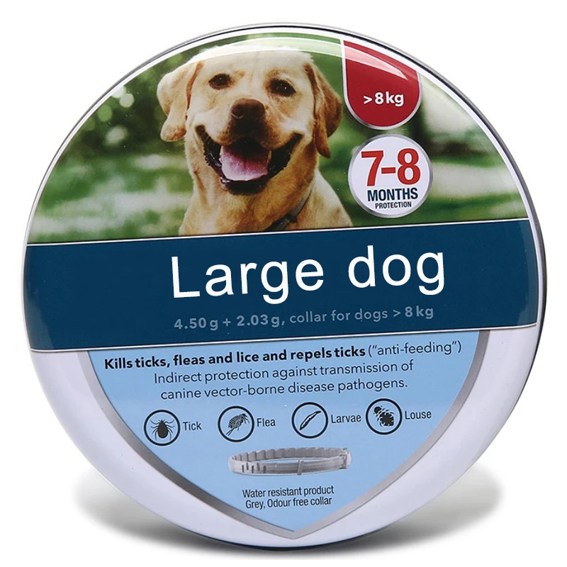 Big Dog Ita Version