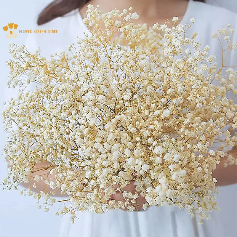 100g Natural Dried Flowers Baby Breath Flowers Bouquets Colorful